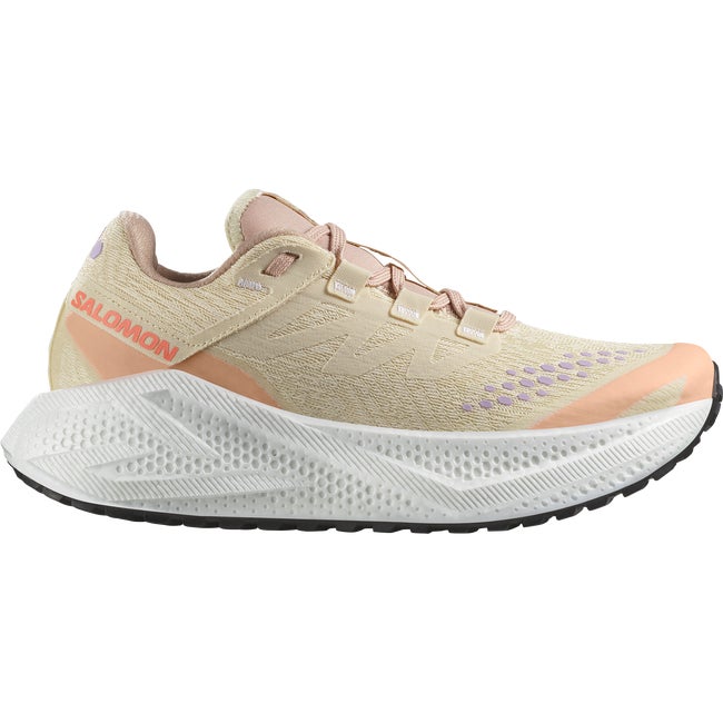 Sneakers og sko Salomon Aero Glide 3 Gravel Beige | L47812500