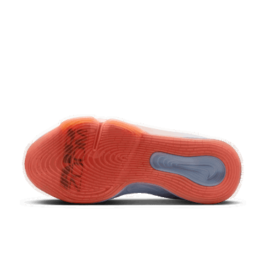 Sneakers og sko Nike G.T. Hustle 3 Grå | FV5953-001, 4