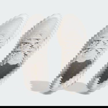 Sneakers og sko adidas Originals OZWEEGO Grå | IF5479, 3