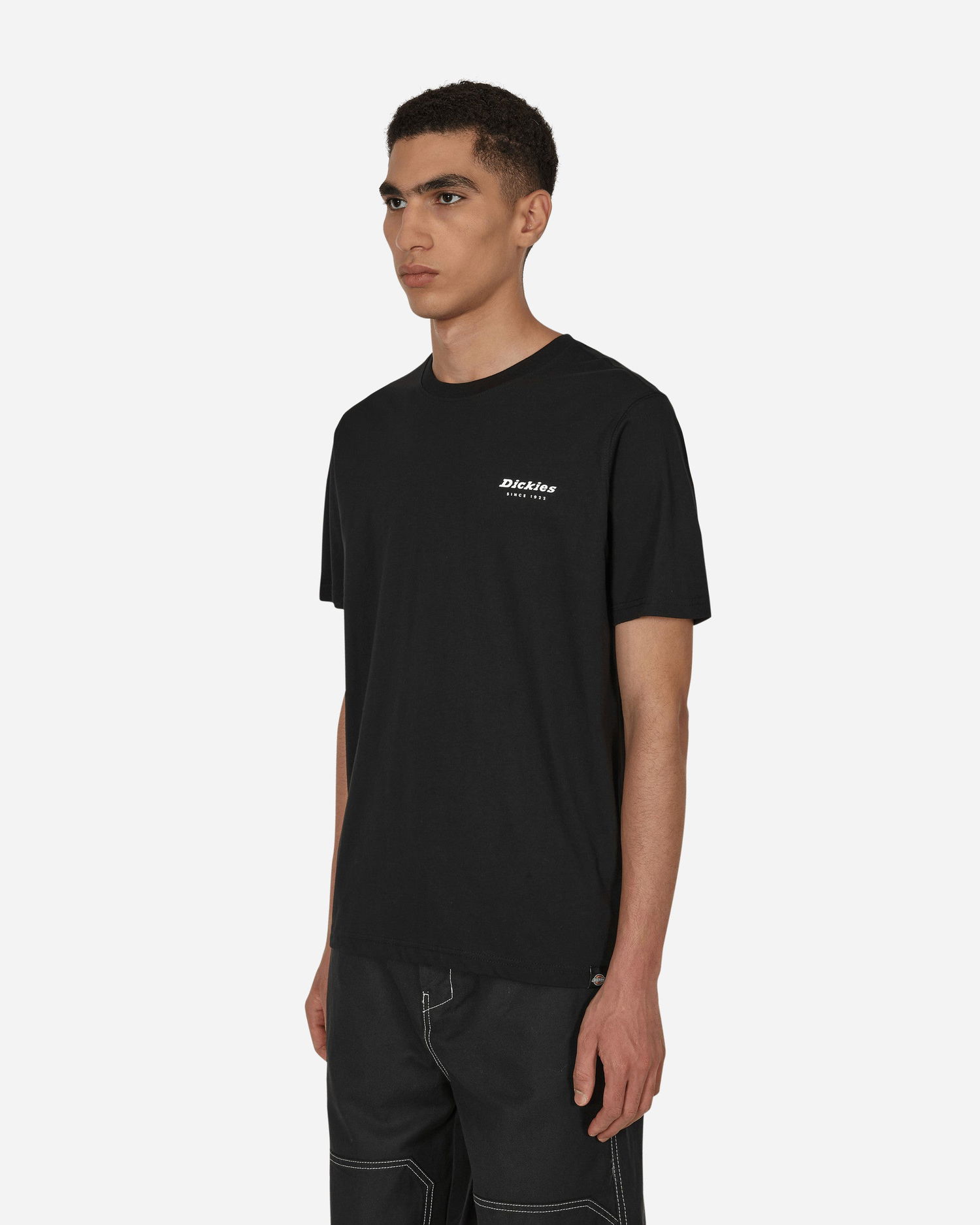 T-shirt Dickies Camden Box T-Shirt Sort | DK0A4Y1H BLK1, 1