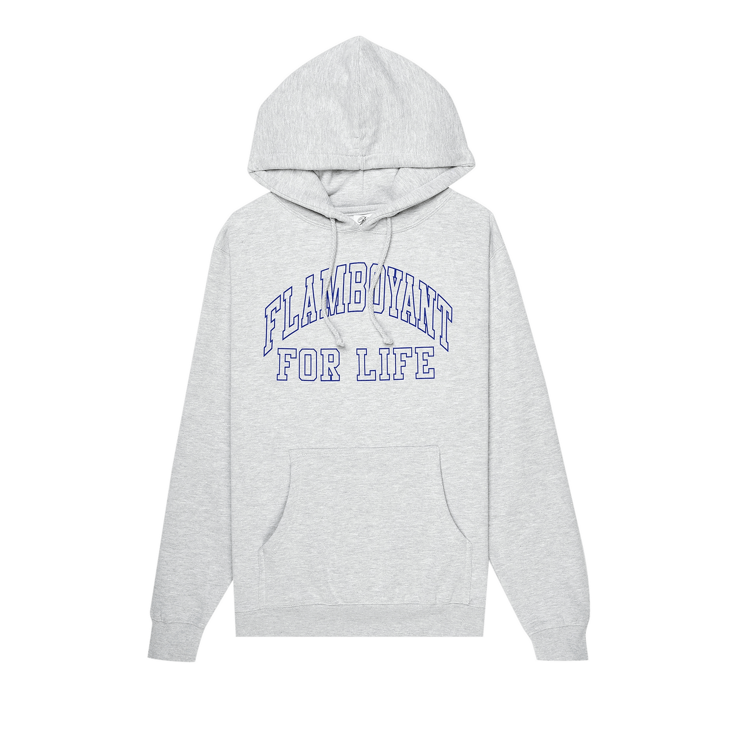 Sweatshirt Pleasures Flamboyant Hoodie Grå | P22F067 GREY, 0