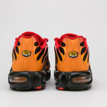 Sneakers og sko Nike Air Max Plus Flerfarvet | DA1514-001, 3