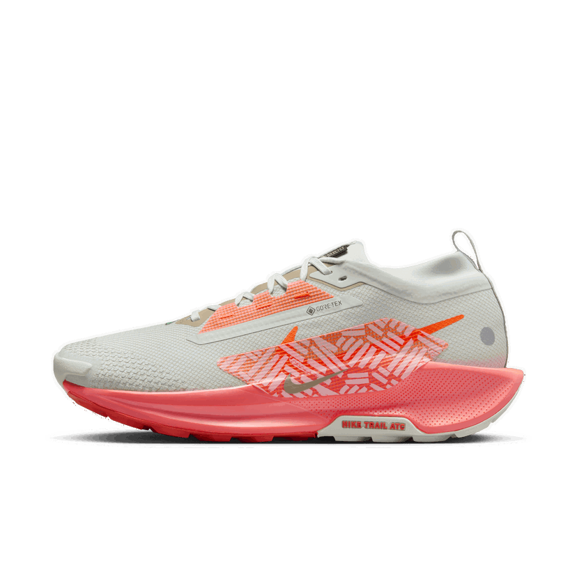 Løbe Nike Pegasus Trail 5 GORE-TEX Grå | FQ0908-004