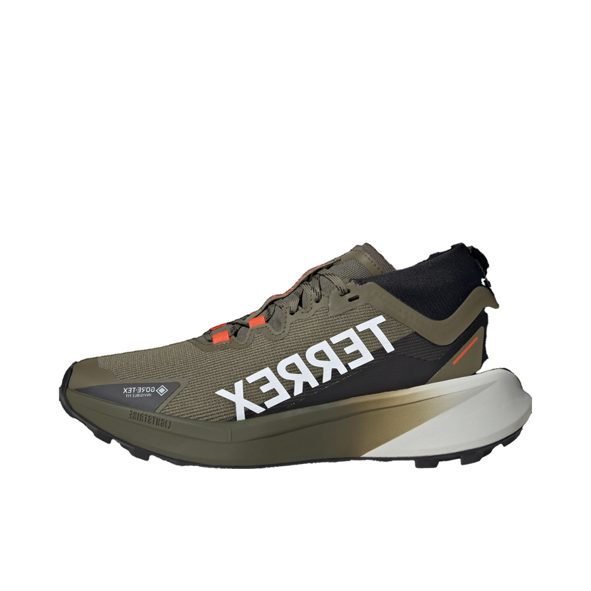 Sneakers og sko adidas Performance Terrex Agravic GTX Grøn | jp7252
