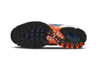 Sneakers og sko Nike Air Max Plus SE ''Running Club - Deep Royal Blue'' Blå | DC9332-001, 1