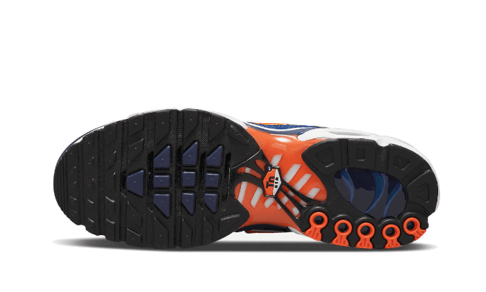 Sneakers og sko Nike Air Max Plus SE ''Running Club - Deep Royal Blue'' Blå | DC9332-001, 1