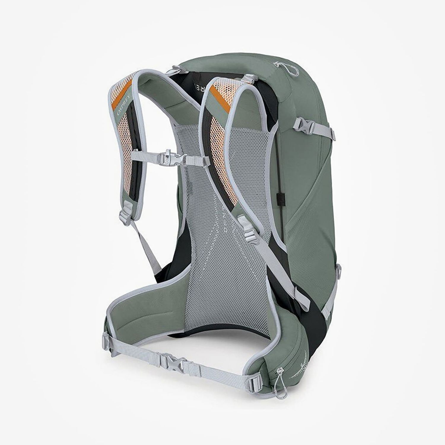 Rygsæk Osprey Hikelite 28 Hiking Backpack Grøn | 10030940OSP, 1