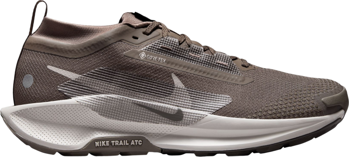 Sneakers og sko Nike Pegasus Trail 5 GORE-TEX Brun | fq0908-012, 0