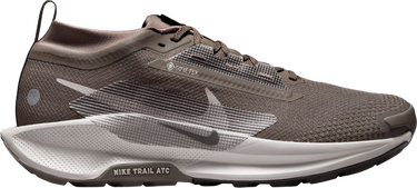 Sneakers og sko Nike Pegasus Trail 5 GORE-TEX Brun | fq0908-012, 0