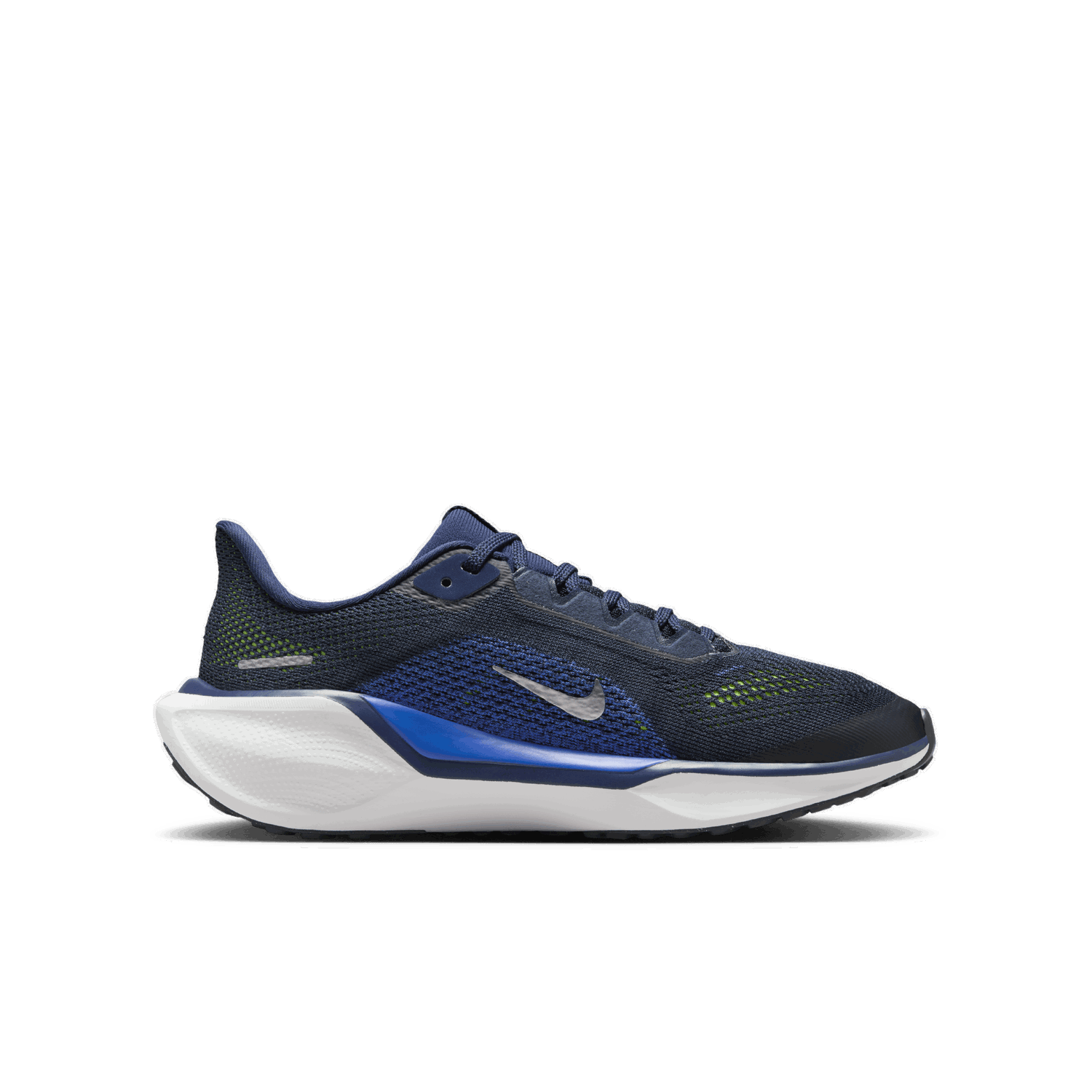 Sneakers og sko Nike Pegasus 41 Blå | FN5041-400, 1