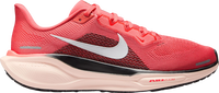 Pegasus 41