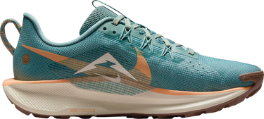 Sneakers og sko Nike Pegasus Trail 5 Turkis | dv3865-010, 3