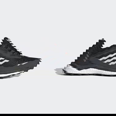 Sneakers og sko adidas Performance Terrex Agravic Flow Sort | FW5119, 0