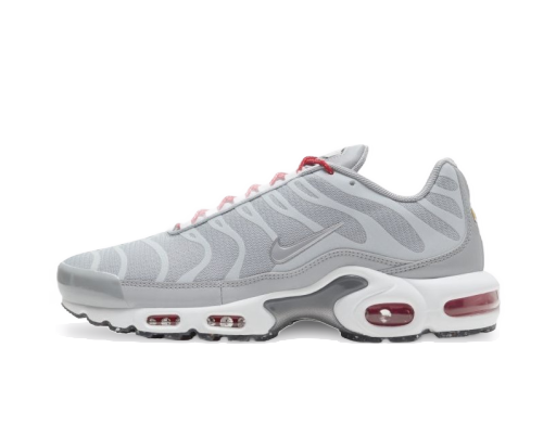 Sneakers og sko Nike Air Max Plus Grå | DD7112-001