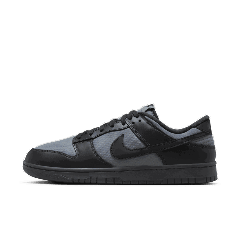 Sneakers og sko Nike Dunk Low Retro SE Sort | FZ3052-001