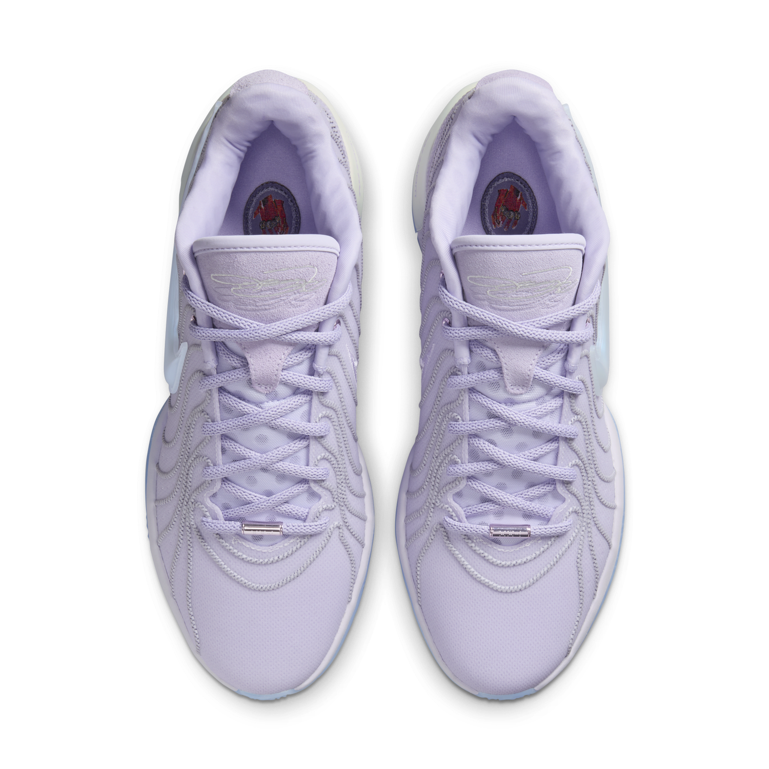 Sneakers og sko Nike LeBron XXI Lilla | HF5353-500, 1