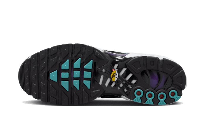 Sneakers og sko Nike Air Max Plus "Reverse Grape" Lilla | FQ2415-500, 1
