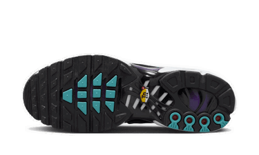 Sneakers og sko Nike Air Max Plus "Reverse Grape" Lilla | FQ2415-500, 1