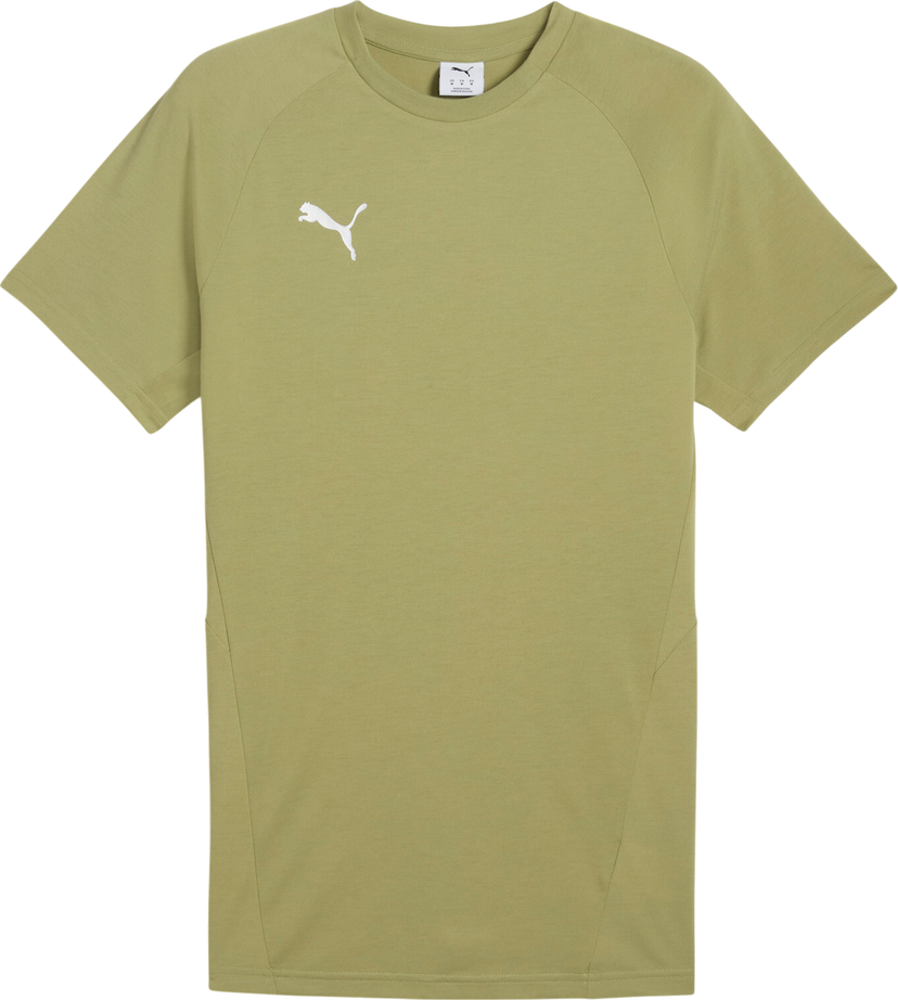 T-shirt Puma Puma teamEVOSTRIPE T-Shirt Grøn | 659953-40