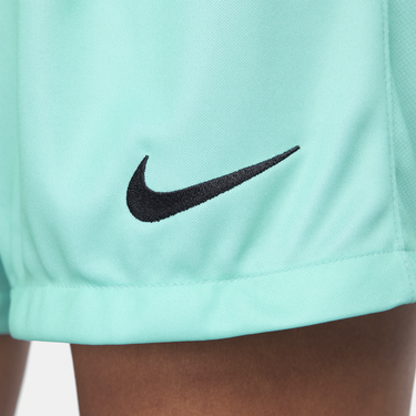 Shorts Nike Dri-FIT FC Barcelona 2023/24 Stadium Third Shorts Turkis | FJ4672-486, 2
