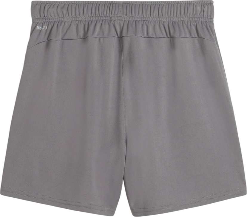 Shorts Puma Puma teamGOAL Handball Shorts Grå | 706019-13