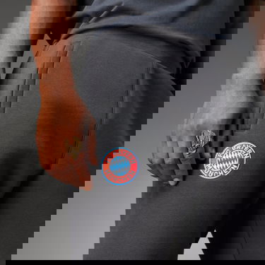 Joggingbukser adidas Performance FC Bayern Essentials Trefoil Pants Grå | IL1033, 5