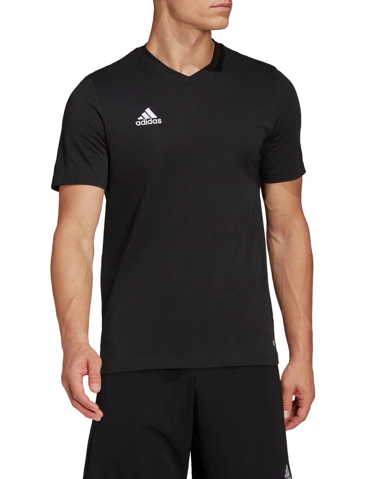 T-shirt adidas Originals T-shirt Entrada 22 Sort | hc0448, 1