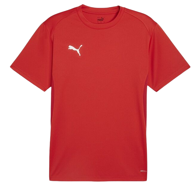 T-shirt Puma teamGOAL T-Shirt Rød | 658636-01