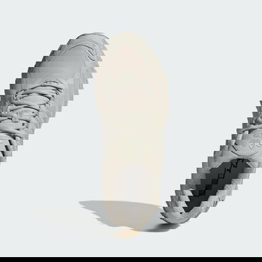 Sneakers og sko adidas Performance Adistar Cushion Grå | IG6928, 1