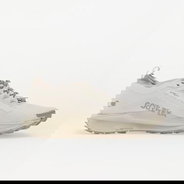 Sneakers og sko Nike Pegasus Trail 5 Gore-Tex Beige | HQ7494-100, 2