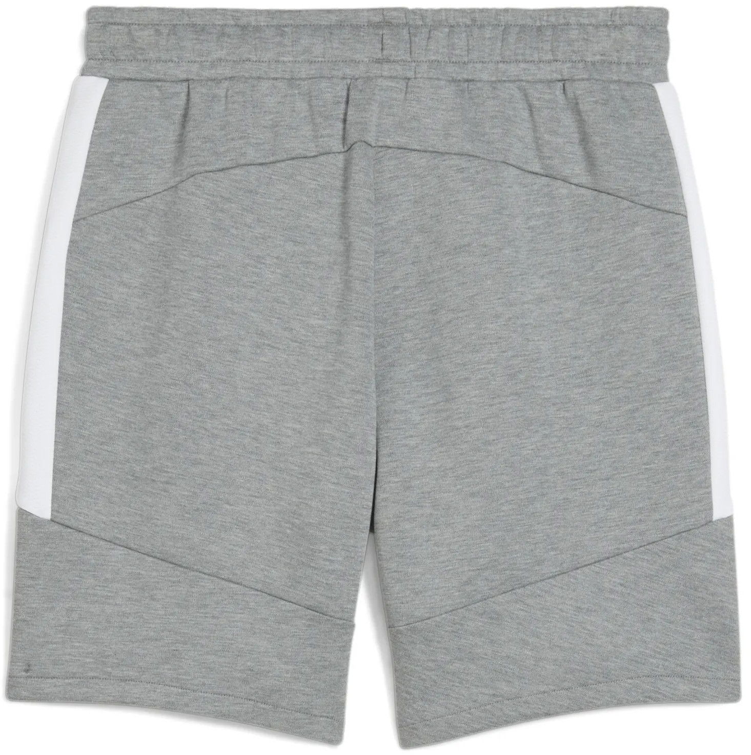 Shorts Puma teamEVOSTRIPE Shorts Grå | 659951-33, 1