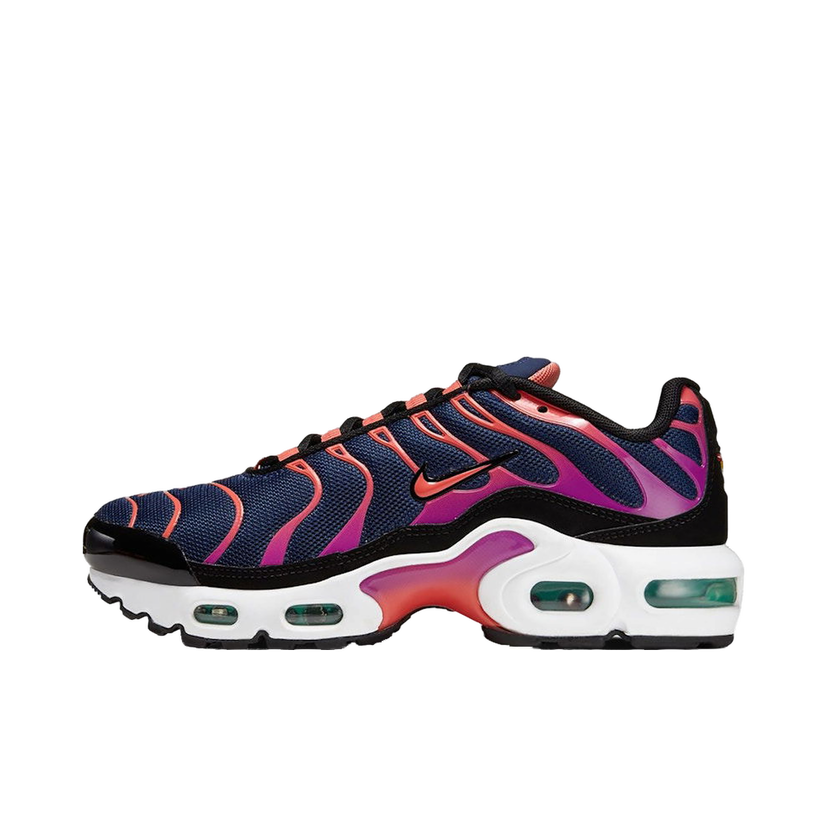 Sneakers og sko Nike Air Max Plus Flerfarvet | CD0609-402
