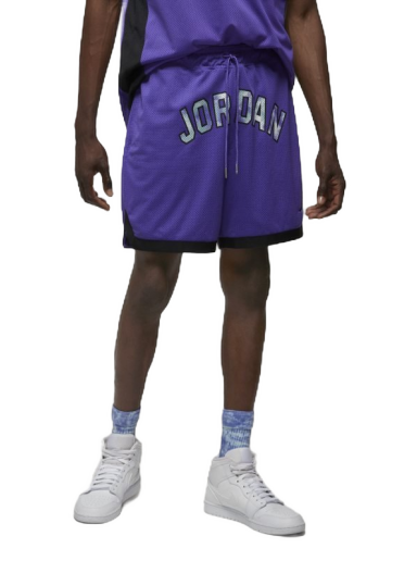 Shorts Jordan Sport DNA Mesh Shorts Lilla | DM1414-579