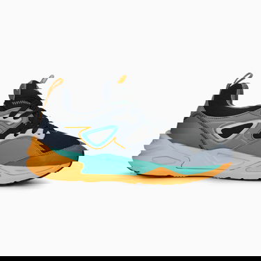 Sneakers og sko Puma Trinomic Blaze SPXP Grå | 390157_01, 5