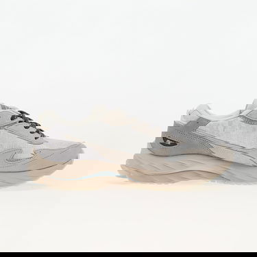 Sneakers og sko Mizuno Wave Rider Grå | D1GA245501, 2