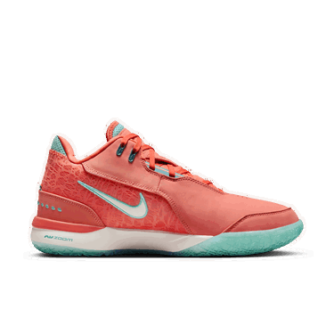 Sneakers og sko Nike ZOOM LEBRON NXXT GEN AMPD DECISION Turkis | FJ1566-401, 2