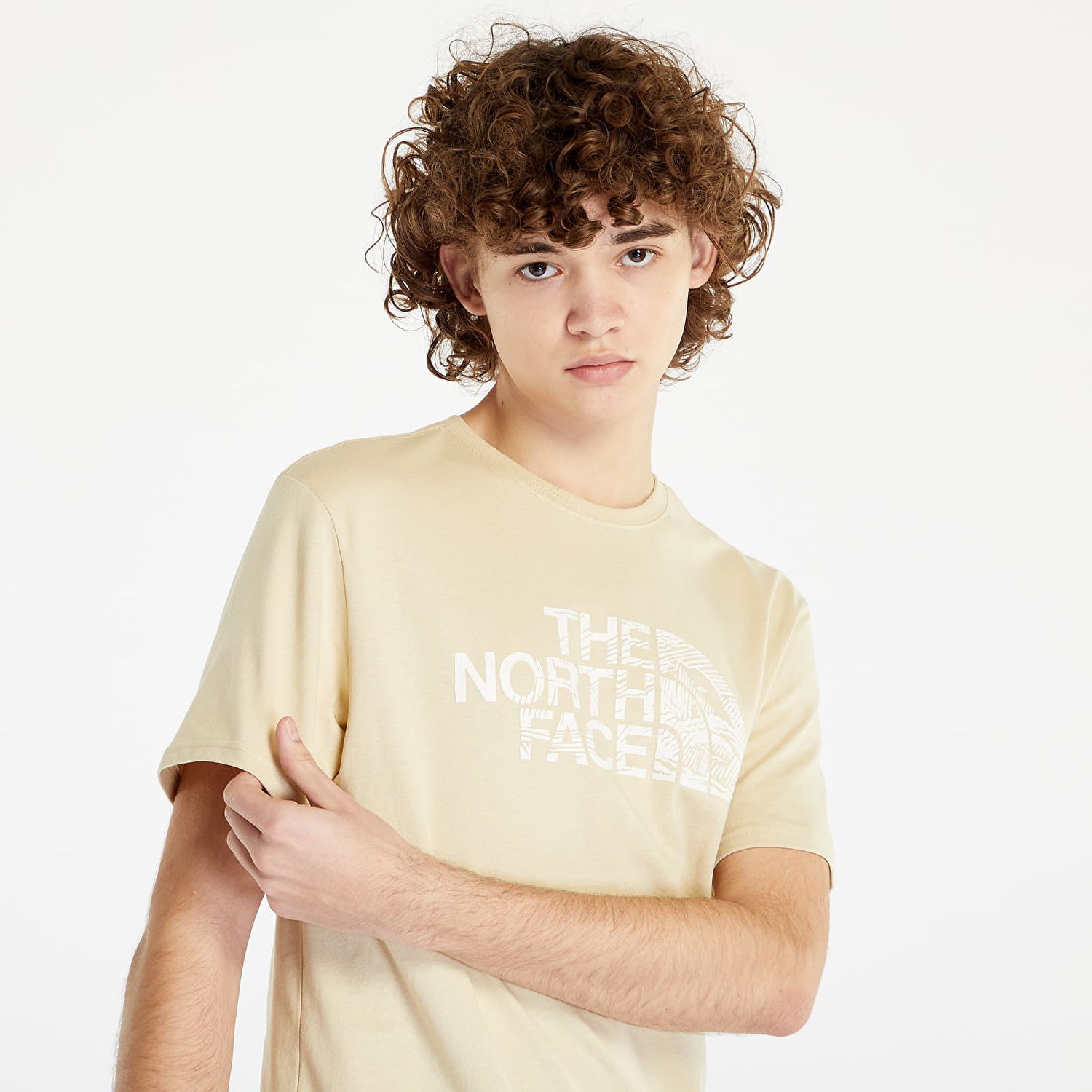 T-shirt The North Face Woodcut Dome Tee Beige | NF0A827H3X41, 0