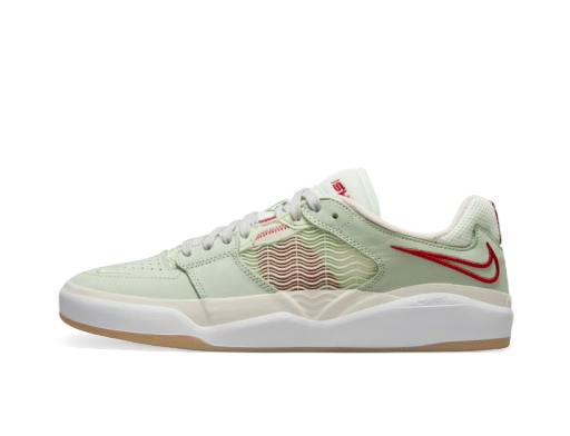 Skateboarding Nike SB Ishod Wair Premium "Green" Grøn | DM0752-001