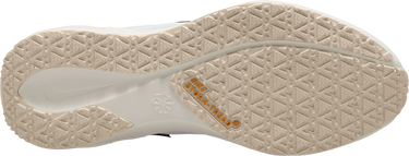 Sneakers og sko Nike Pegasus 41 GORE-TEX Beige | fq1356-102, 3