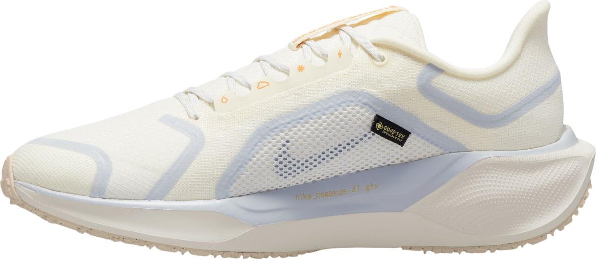 Sneakers og sko Nike Pegasus 41 GORE-TEX Beige | fq1356-102, 1