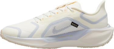 Sneakers og sko Nike Pegasus 41 GORE-TEX Beige | fq1356-102, 1