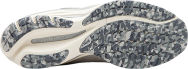 Sneakers og sko Mizuno Mizuno Wave Rider Beta Grå | d1ga3309-003, 2