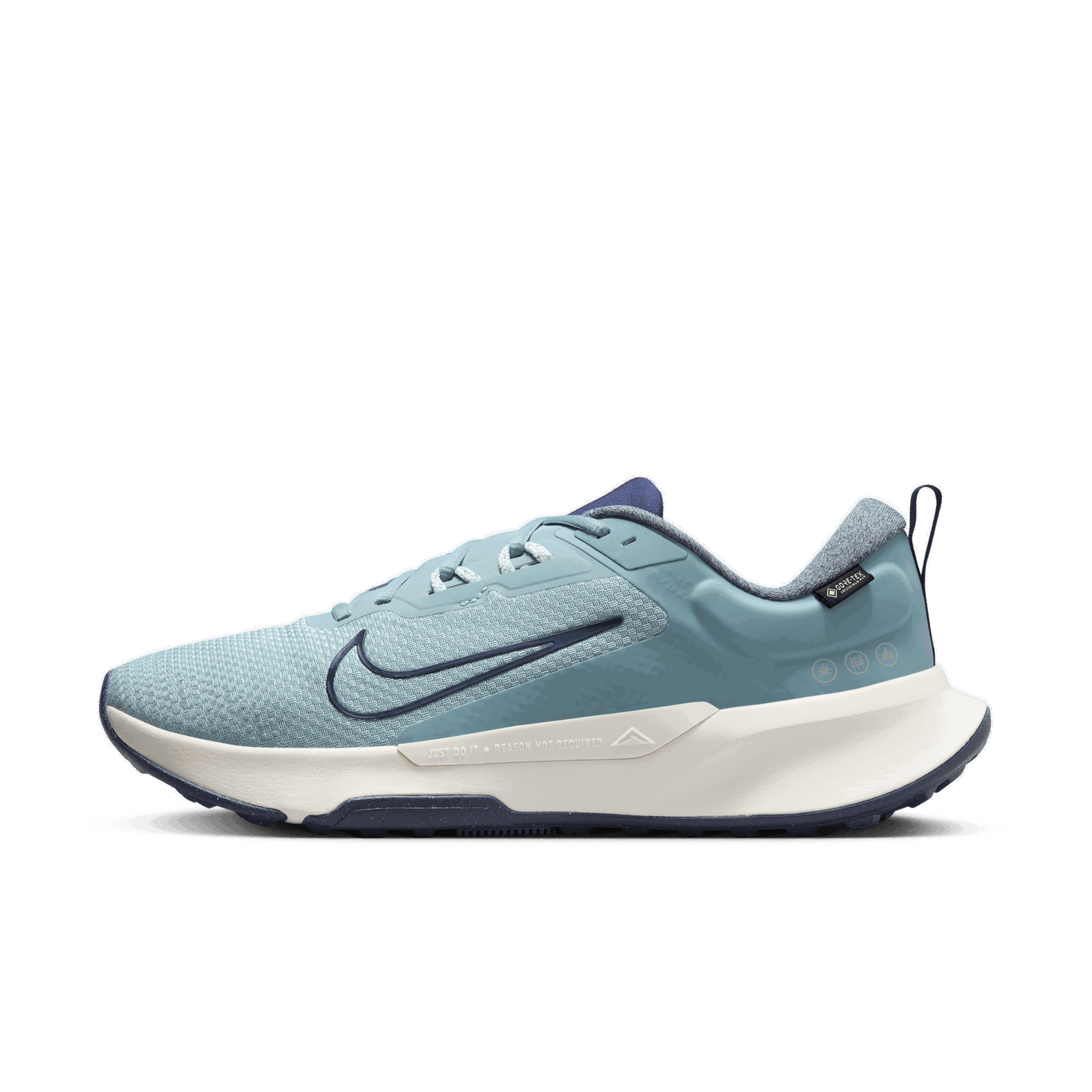 Sneakers og sko Nike Juniper Trail 2 GORE-TEX Blå | HM9734-402, 0