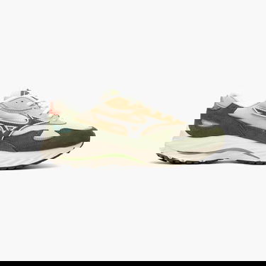 Sneakers og sko Mizuno Wave Rider Beige | D1GA3309-06, 0