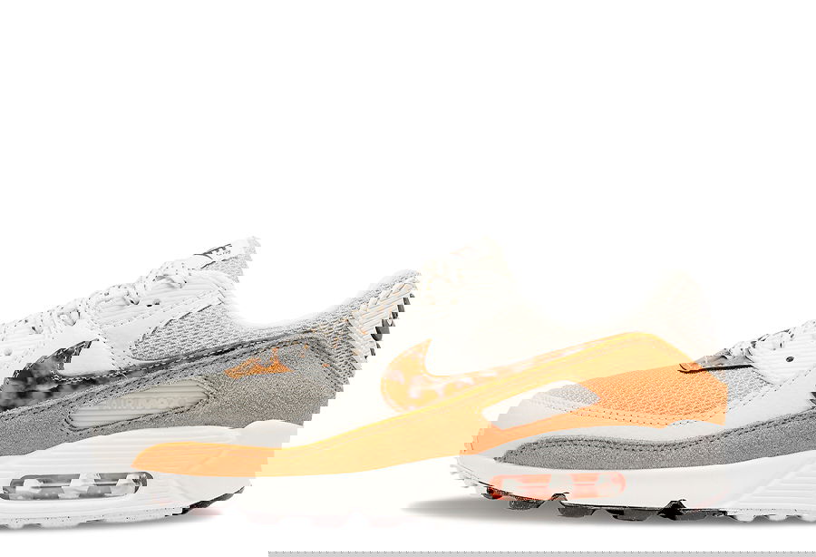 Sneakers og sko Nike Air Max 90 "Tortoiseshell" W Brun | DQ9316-001, 1