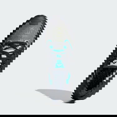 Sneakers og sko adidas Performance Ultraboost Light GTX Sort | IE1683, 3