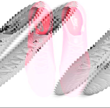 Sneakers og sko Nike LEGEND 10 ELITE FG Lyserød | dv4328-601, 3