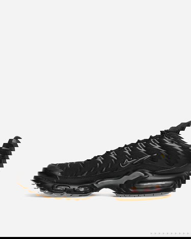 Sneakers og sko Nike Air Max Plus Sneakers "Black / Smoke Grey" Sort | FV0385-001, 2