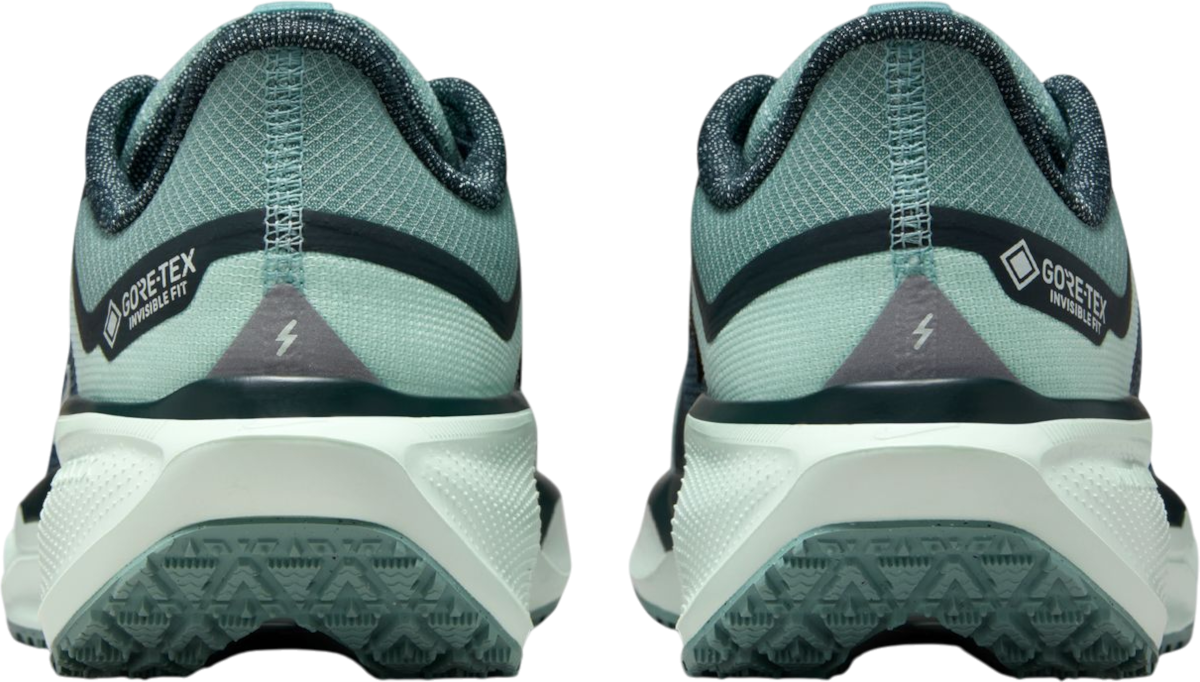 Sneakers og sko Nike Pegasus 41 GORE-TEX Turkis | fq1357-003, 1