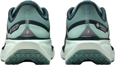 Sneakers og sko Nike Pegasus 41 GORE-TEX Turkis | fq1357-003, 1
